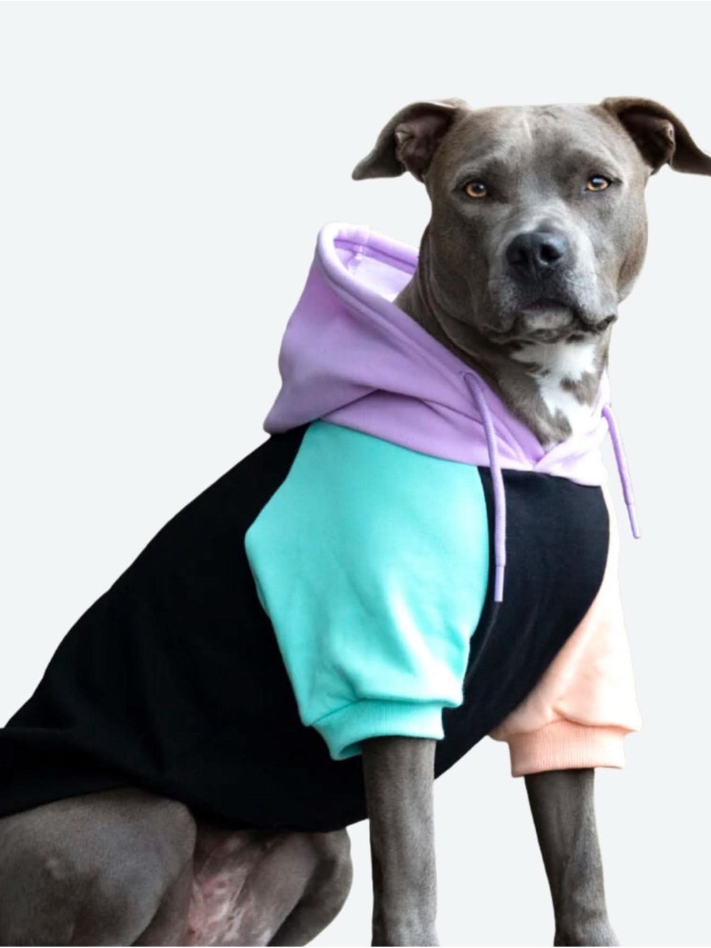 Colorblock Hoodie - Lavender, Mint & Peach Accents - Picture 6 of 7